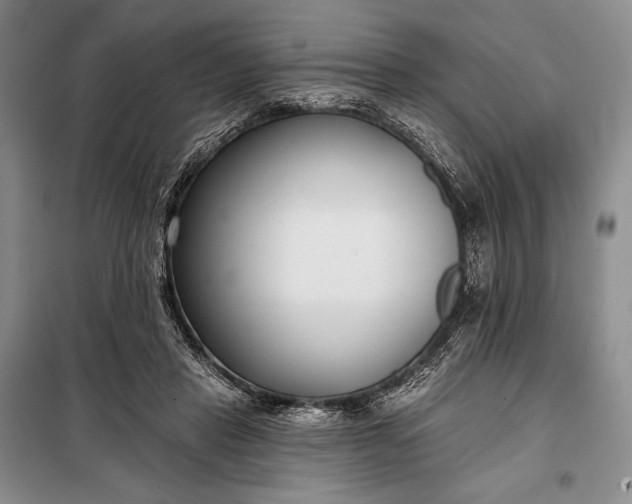 X0000098050453200804111317