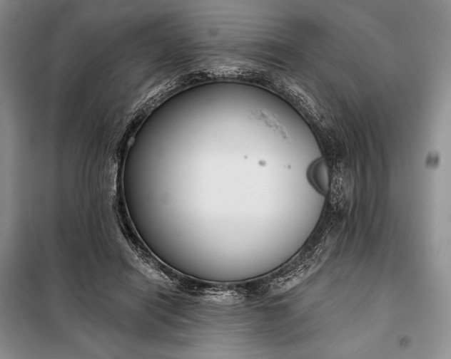 X0000098050454200804111317