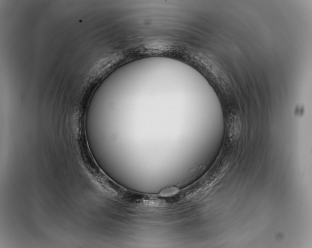 X0000098050455200804111317