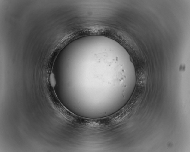 X0000098050456200804111317