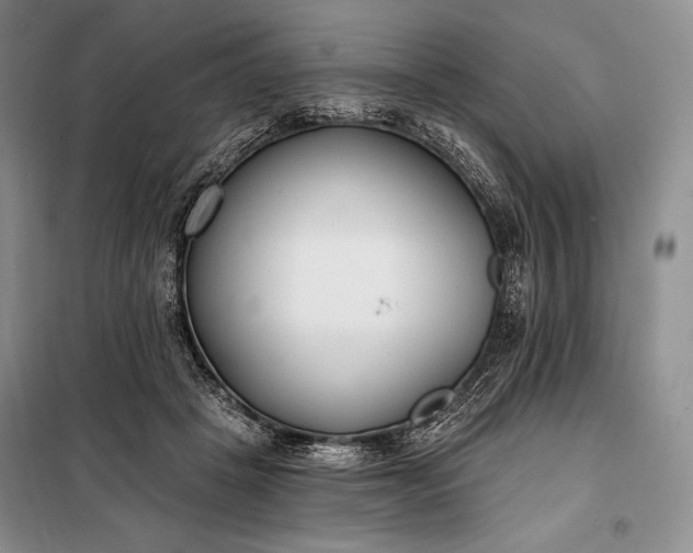 X0000098050457200804111317