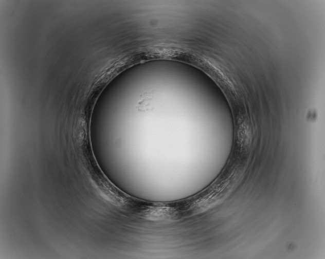 X0000098050459200804111317