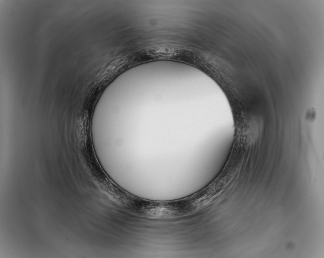 X0000098050460200804111317