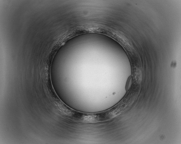 X0000098050461200804111317