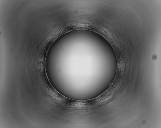 X0000098050462200804111317