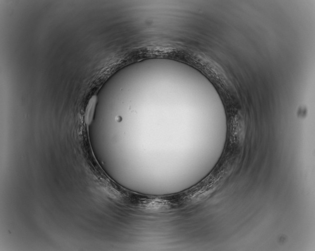 X0000098050463200804111317