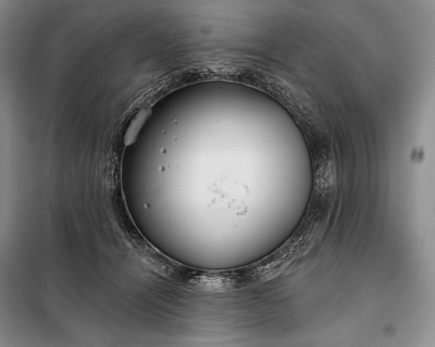 X0000098050464200804111317