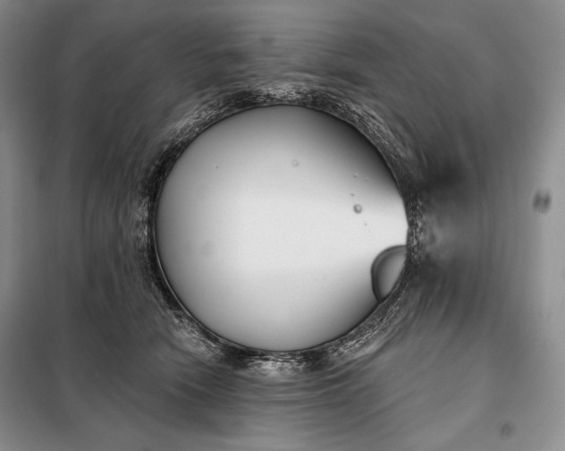 X0000098050466200804111317