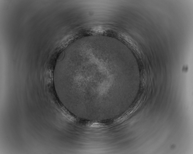 X0000098050467200804111317