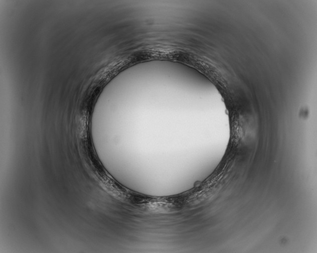 X0000098050468200804111317