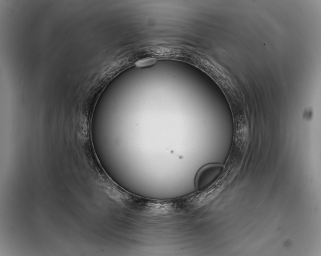 X0000098050469200804111317