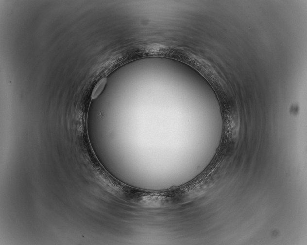 X0000098050470200804111317