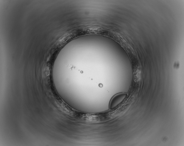 X0000098050472200804111317