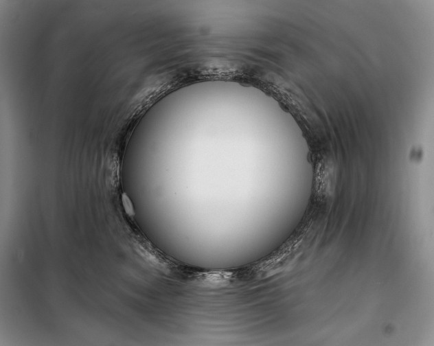 X0000098050474200804111317