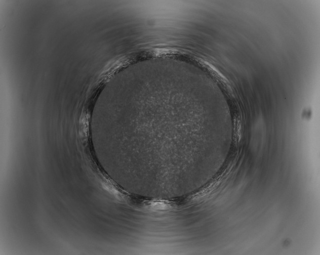 X0000098050475200804111317