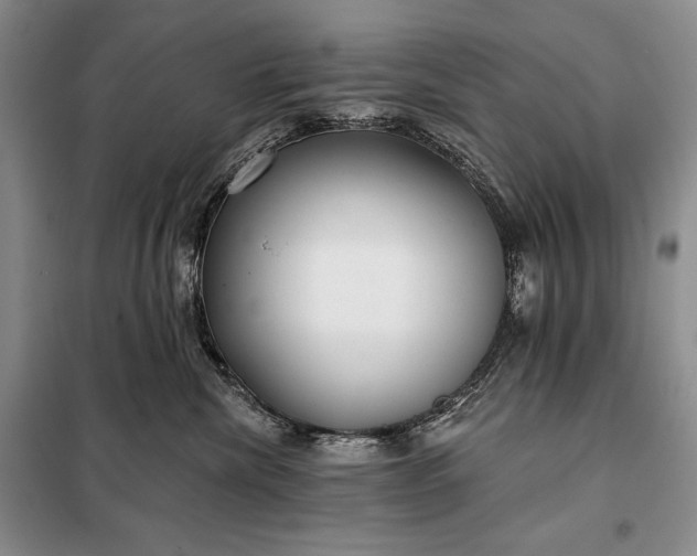 X0000098050476200804111317