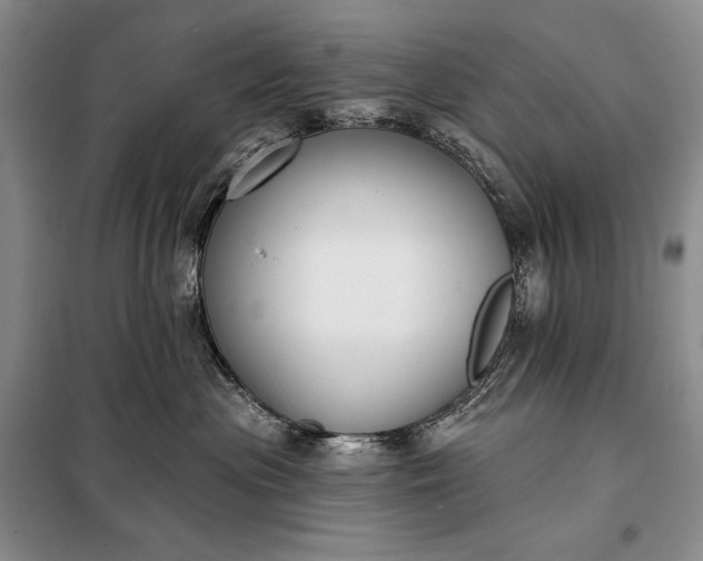 X0000098050477200804111317