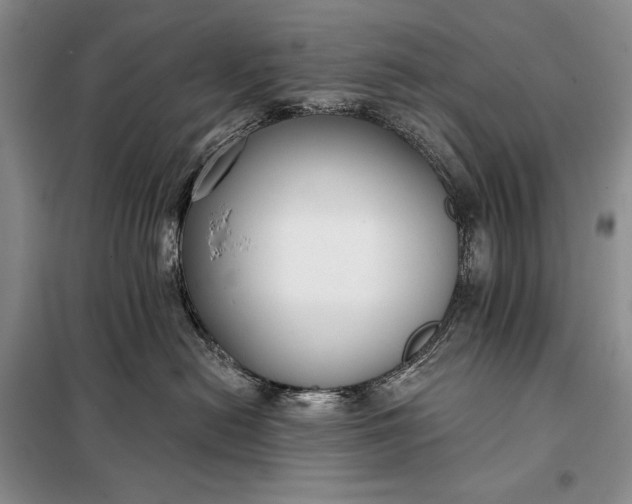 X0000098050478200804111317