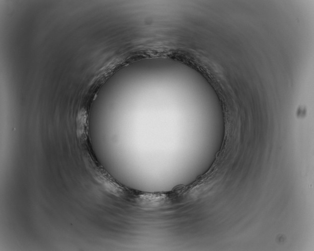 X0000098050480200804111317