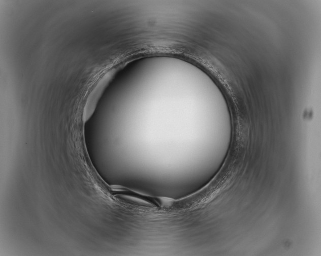 X0000098050481200804111316