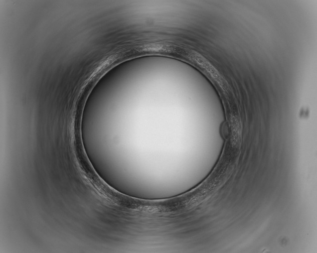 X0000098050482200804111316