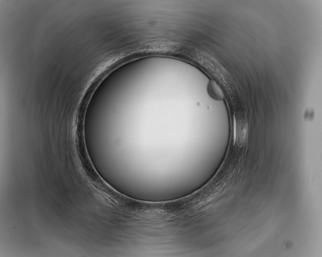 X0000098050483200804111316