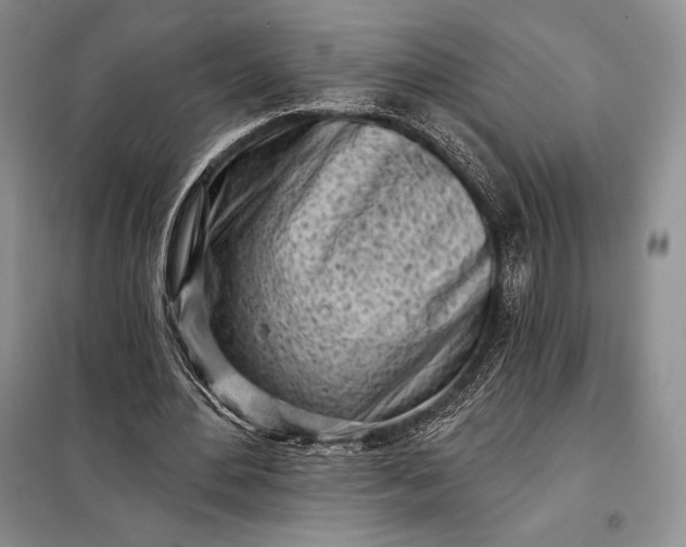 X0000098050484200804111316