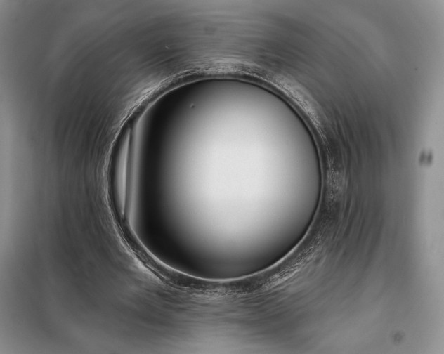 X0000098050485200804111316