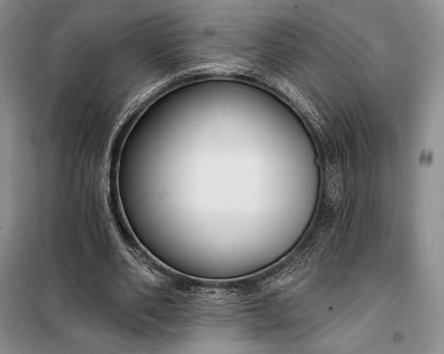 X0000098050486200804111316