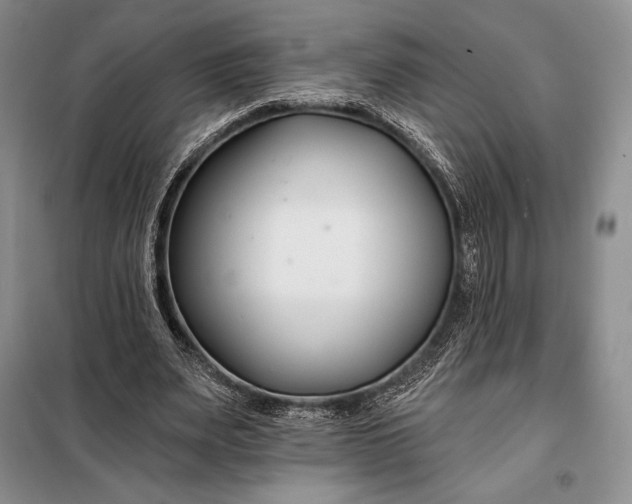 X0000098050487200804111316