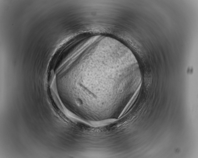 X0000098050488200804111316