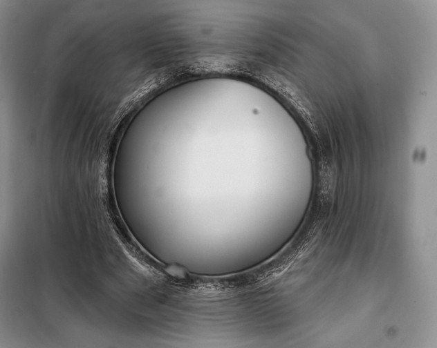 X0000098050489200804111316