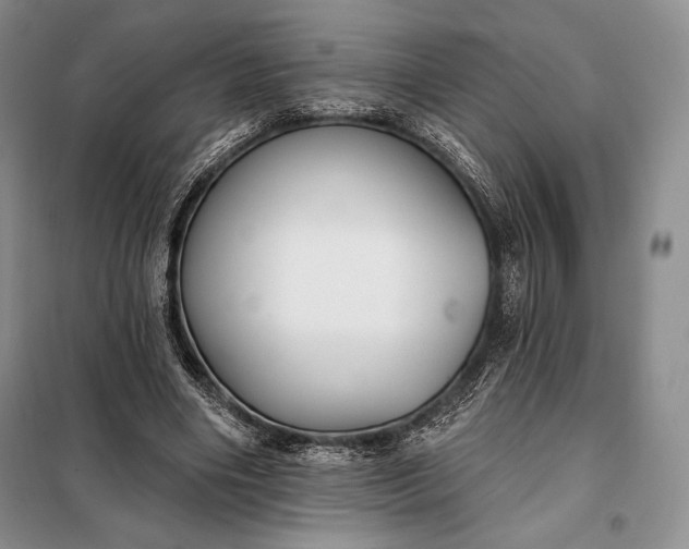 X0000098050490200804111316