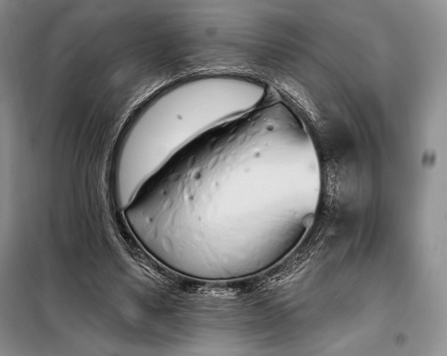 X0000098050491200804111316