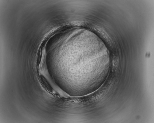 X0000098050492200804111316