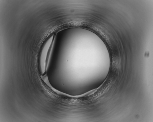 X0000098050493200804111316