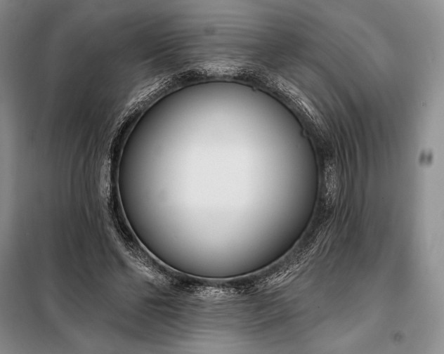 X0000098050494200804111316