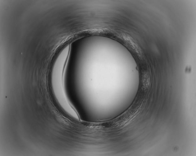 X0000098050495200804111316