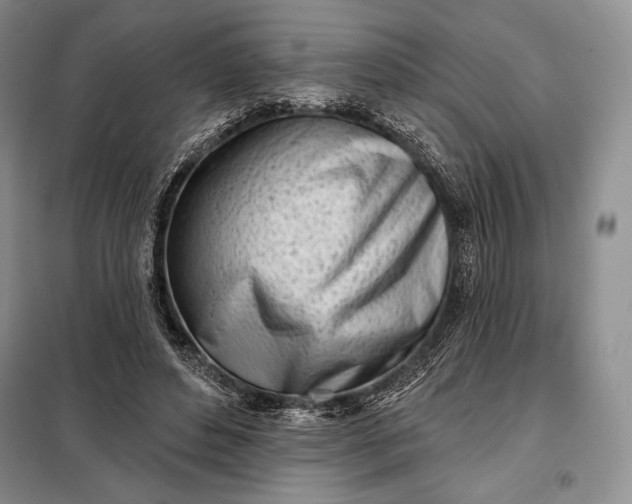 X0000098050496200804111316