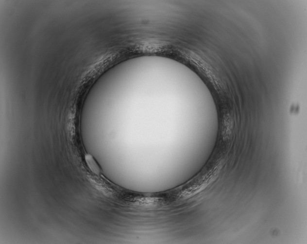 X0000098050497200804111316