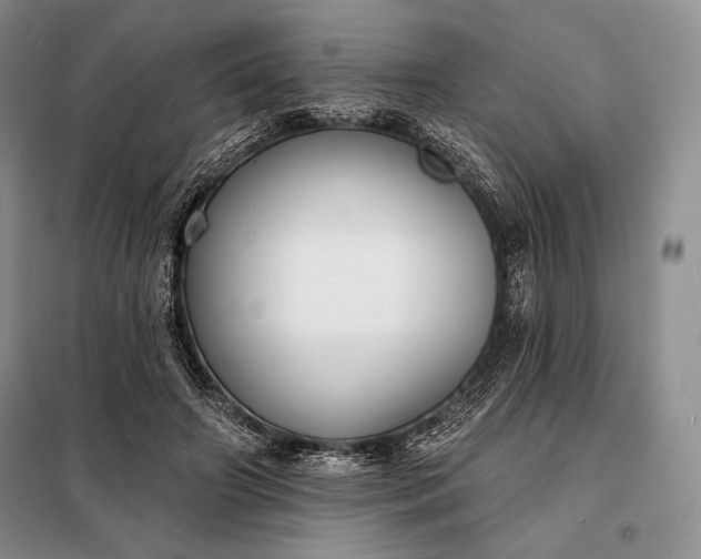 X0000098050498200804111316