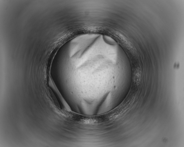 X0000098050500200804111316