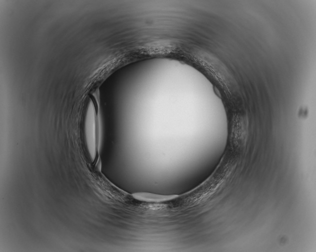 X0000098050501200804111316