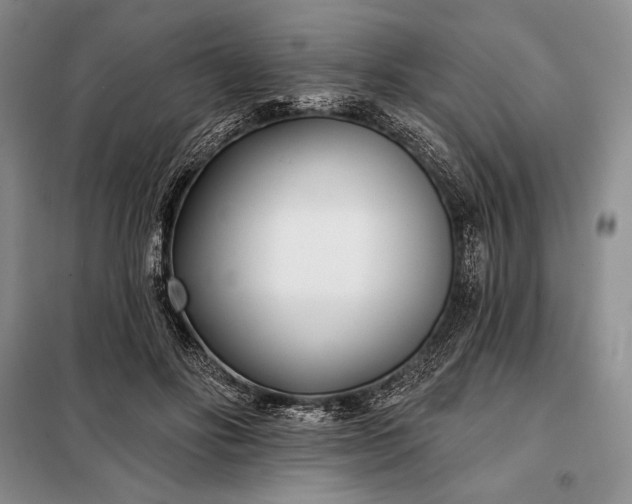 X0000098050502200804111316