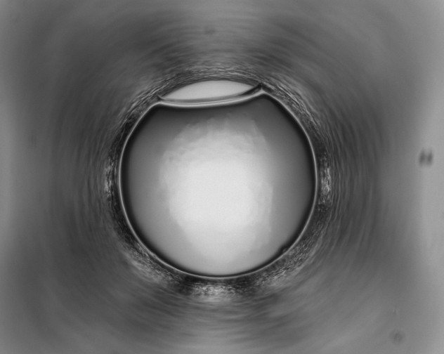 X0000098050503200804111316