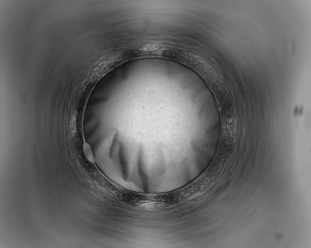 X0000098050504200804111316