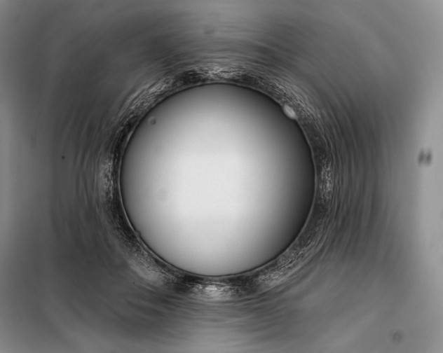 X0000098050506200804111316