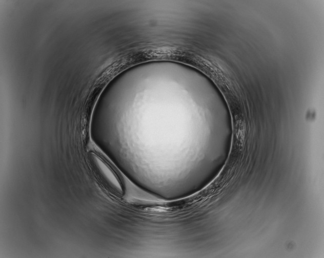 X0000098050507200804111316