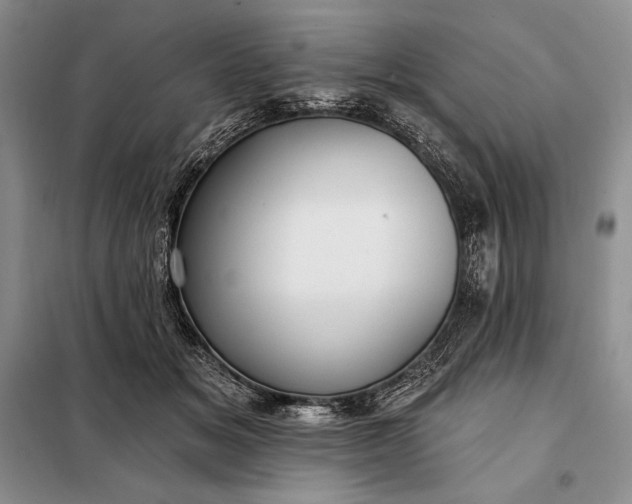 X0000098050509200804111316