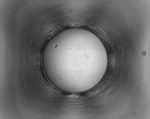 X0000098050511200804111316